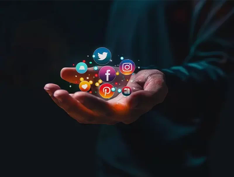 nanbis-social